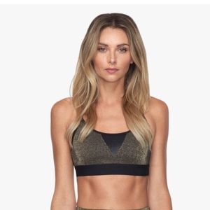 KORAL TRIFECTA SPORTS BRA